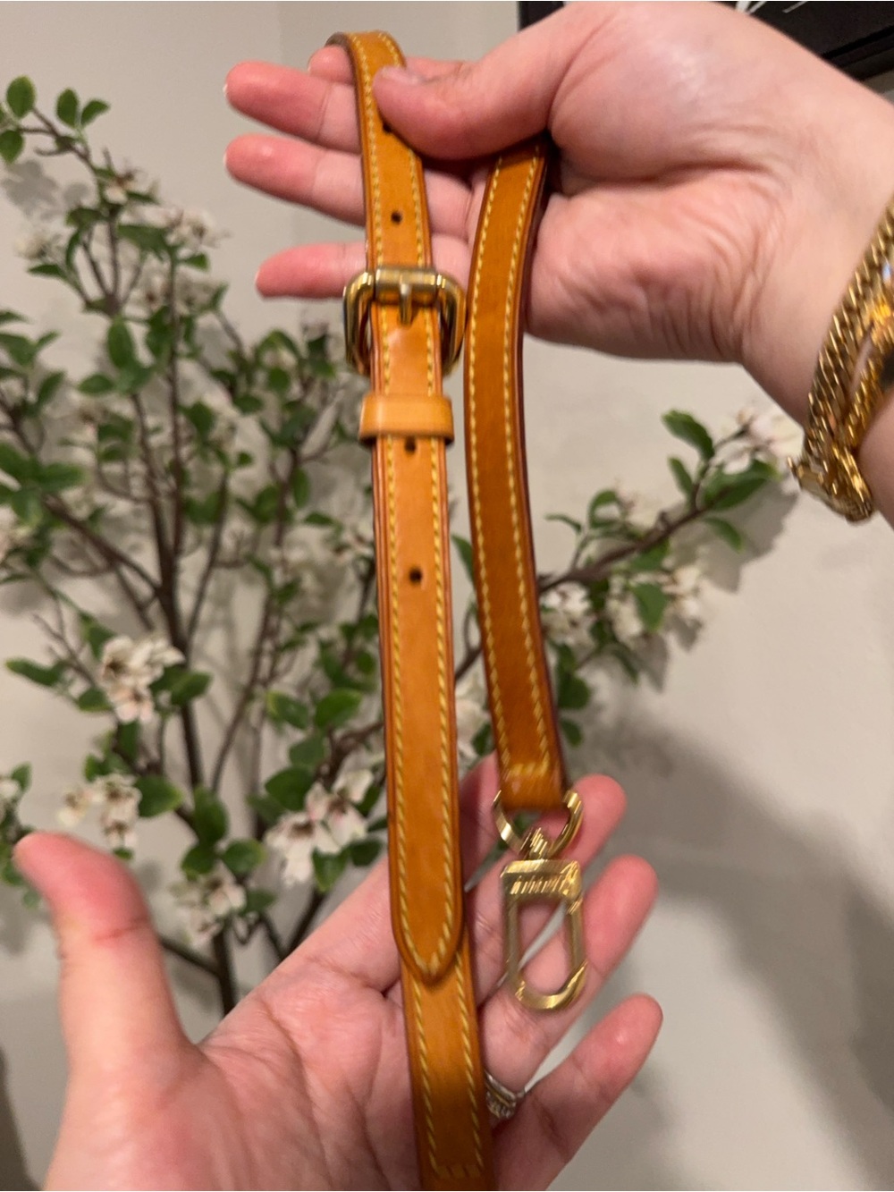 LV Palermo Pm - Picture 11 of 13